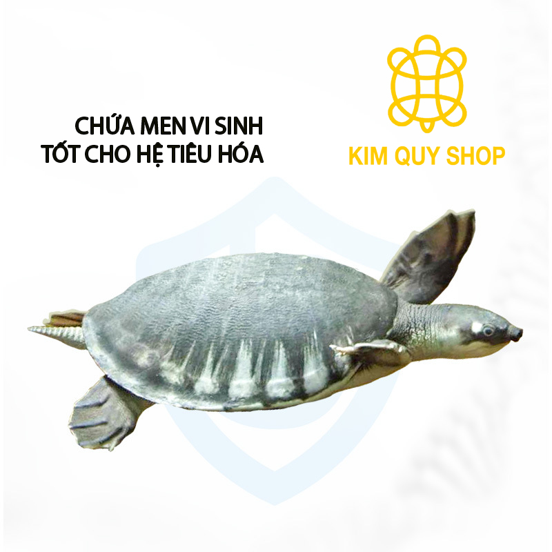 Thức ăn chìm dành cho rùa nước