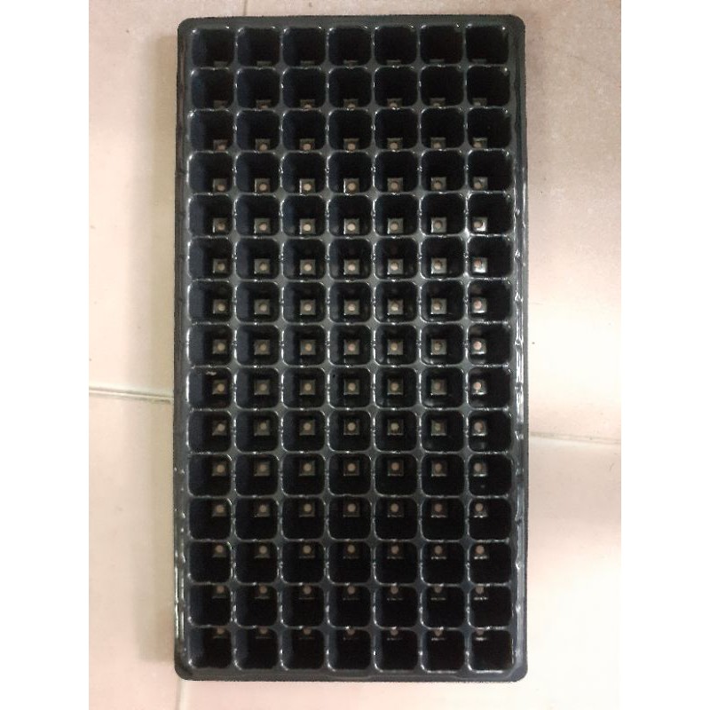 Bộ 5 khay ươm hạt giống 105 lỗ
