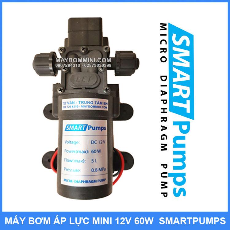 Máy Rửa Xe Áp Lực Mini 12V 60W Option 2