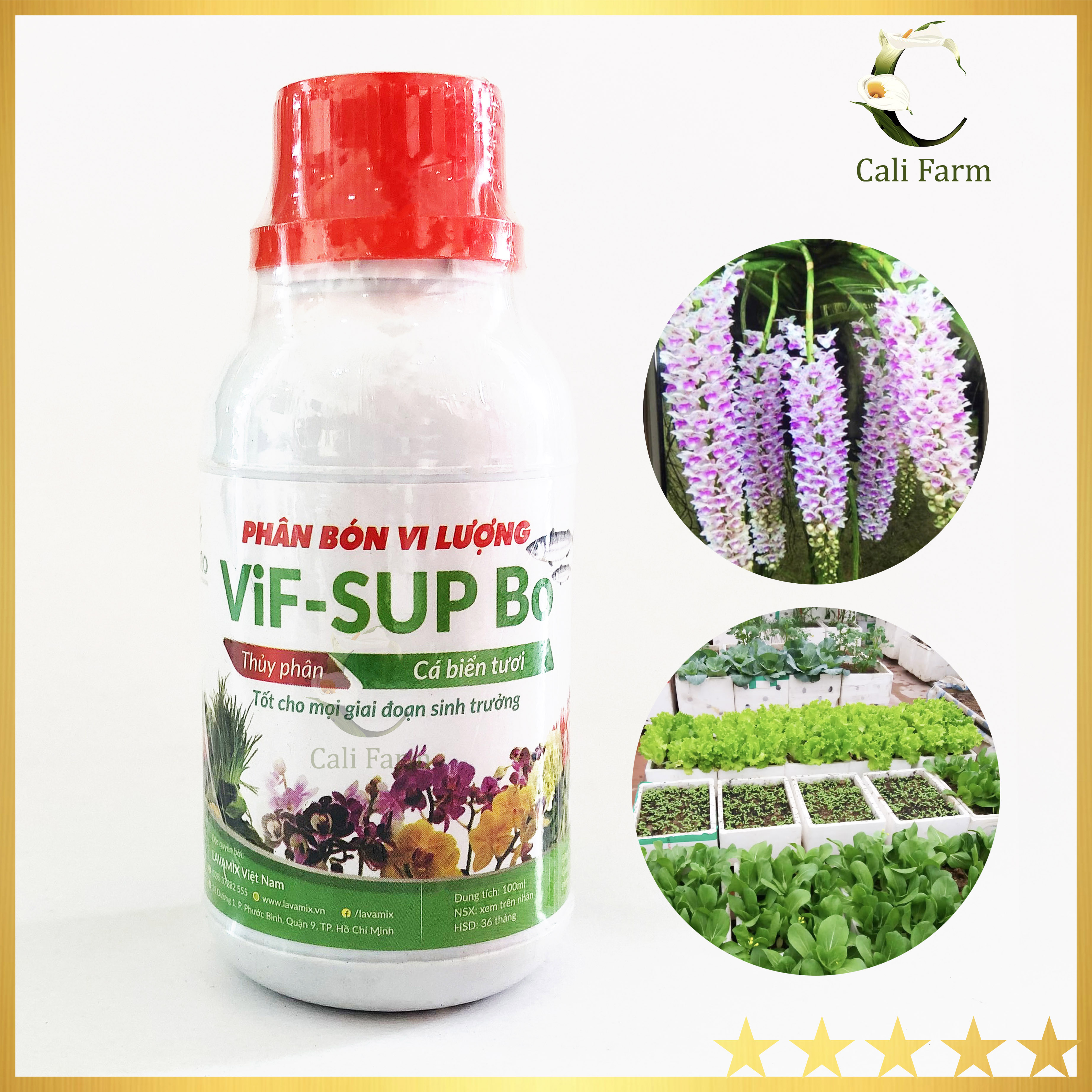 Phân Bón Cá Biển VIF SUP Bo Thủy Phân Vi Lượng  - 100ml
