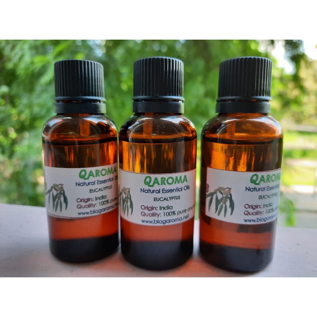 [HCM]Tinh dầu khuynh diệp Ấn Độ 10ml
