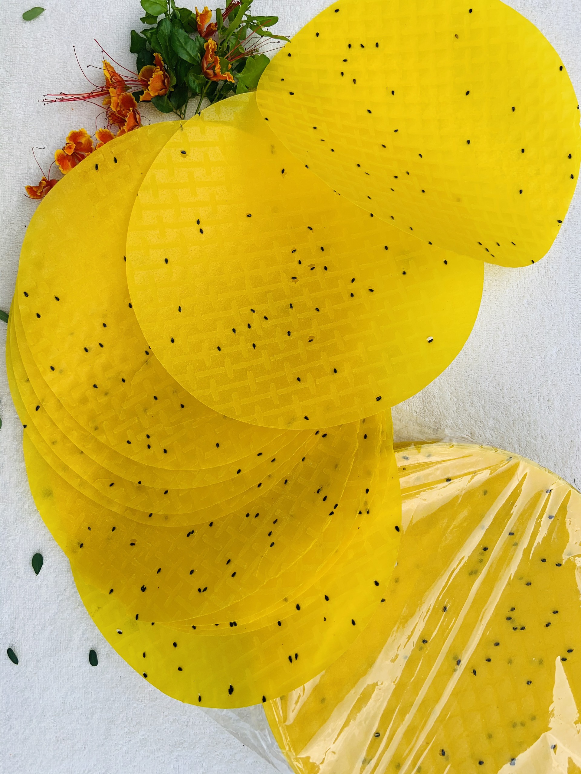 [1KG] BÁNH TRÁNG NƯỚNG TRẮNG