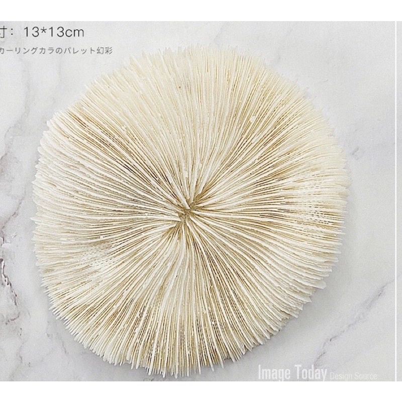[NNails] Nails phụ kiện chụp ảnh mẫu