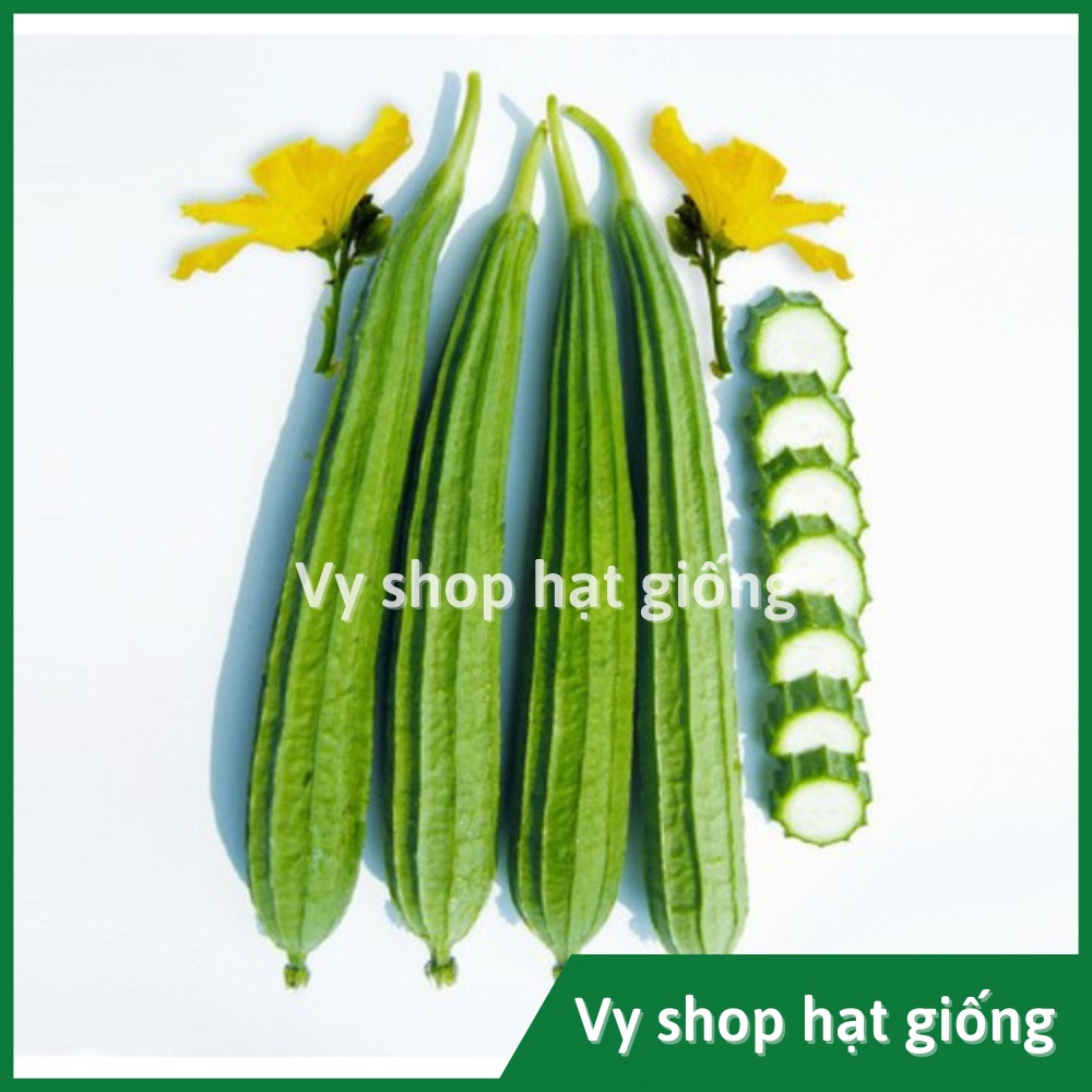 Hạt giống mướp khía Thái Lan gói 14 hạt