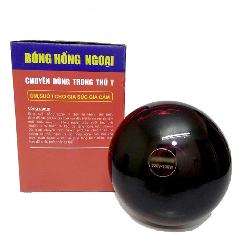 Bóng đèn sưởi hồng ngoại dành cho cho chó mèo