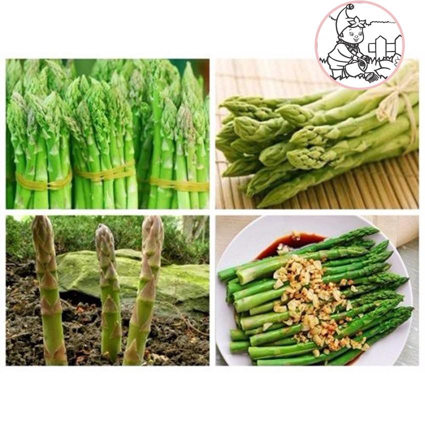 HẠT MĂNG TÂY - GÓI 10 HẠT