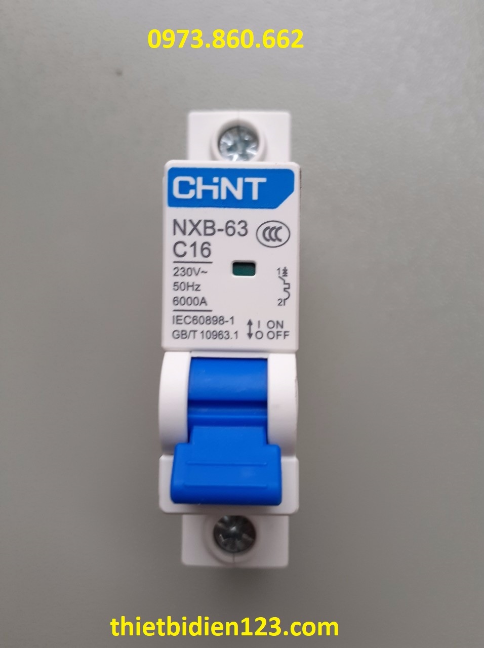 Aptomat CHINT NXB 1P/2P 16A~63A