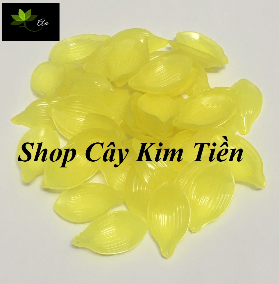 Cánh sen pha lê đá ( 100gr)