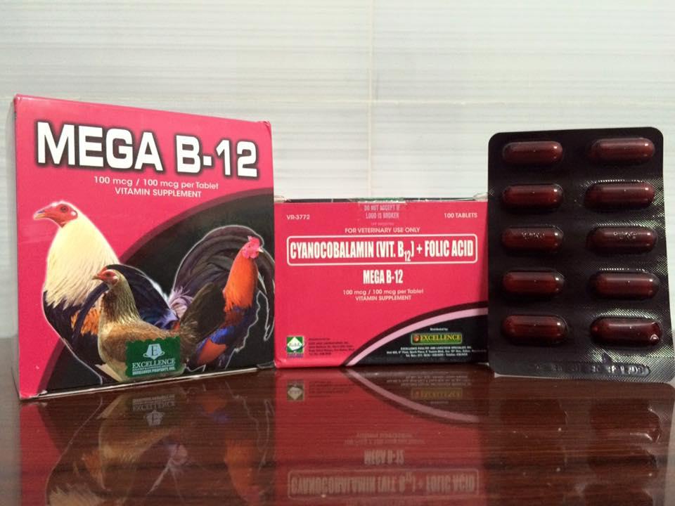 [HCM]Mega B12 (1 hộp) - Pet Food Store.