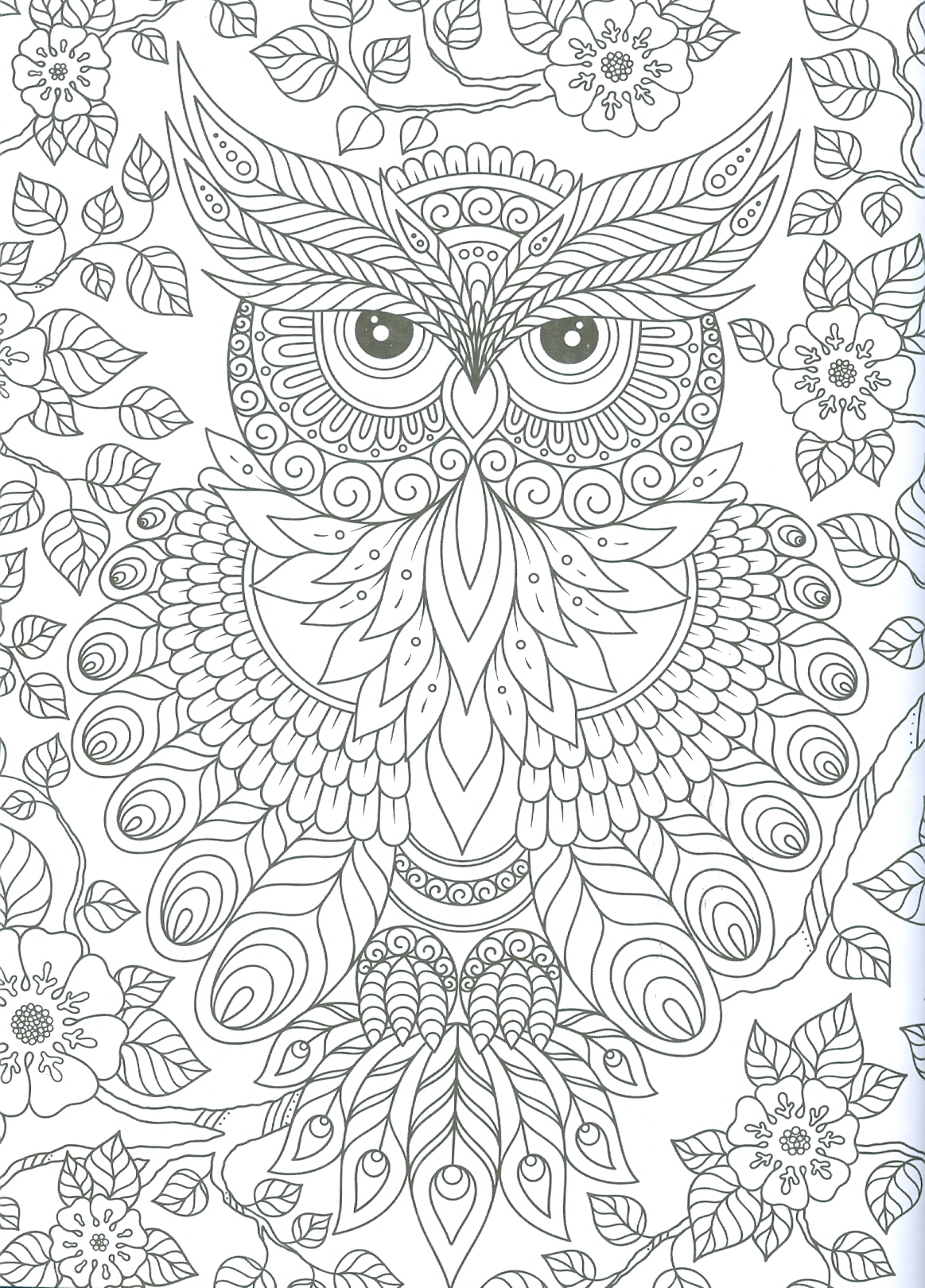 Wilderness - Adults Colouring Book (Sách Tô Màu: Động Vật)