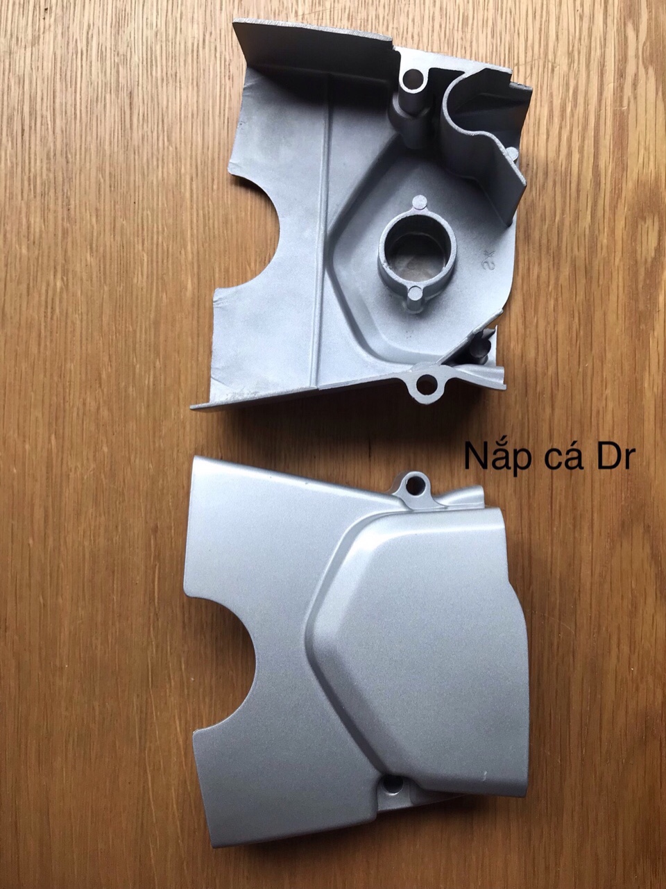 [HCM]NẮP CÁ DREAM