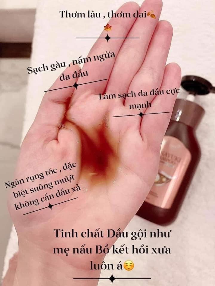 Dầu Gội Hanayuki Shampoo