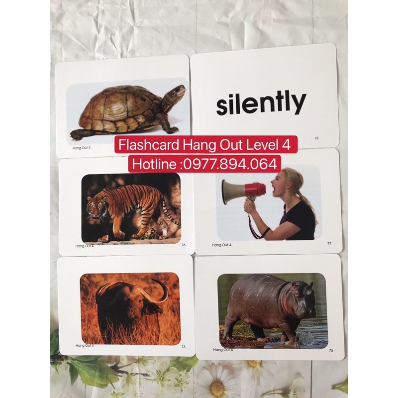 Flashcard Hang Out Level 4️144 thẻ size A5 siêu đẹp