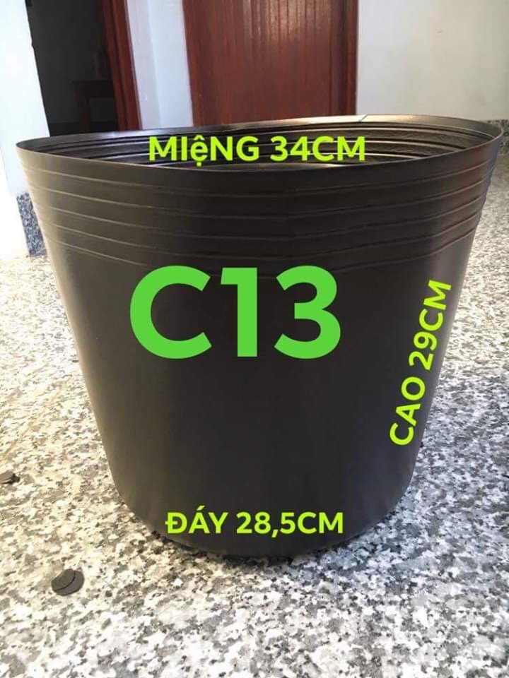 [Combo 10 cái] chậu nhựa đen C13 mềm dẻo KT: 34x29x28.5cm