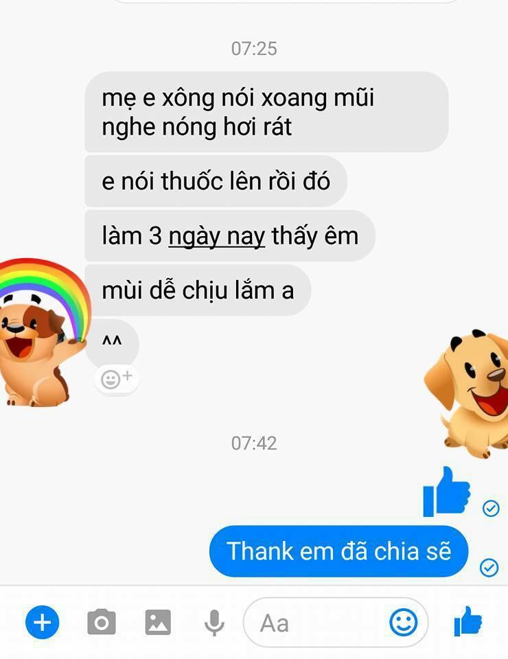THẢO MỘC XOANG NHẸ TRẦN MAO