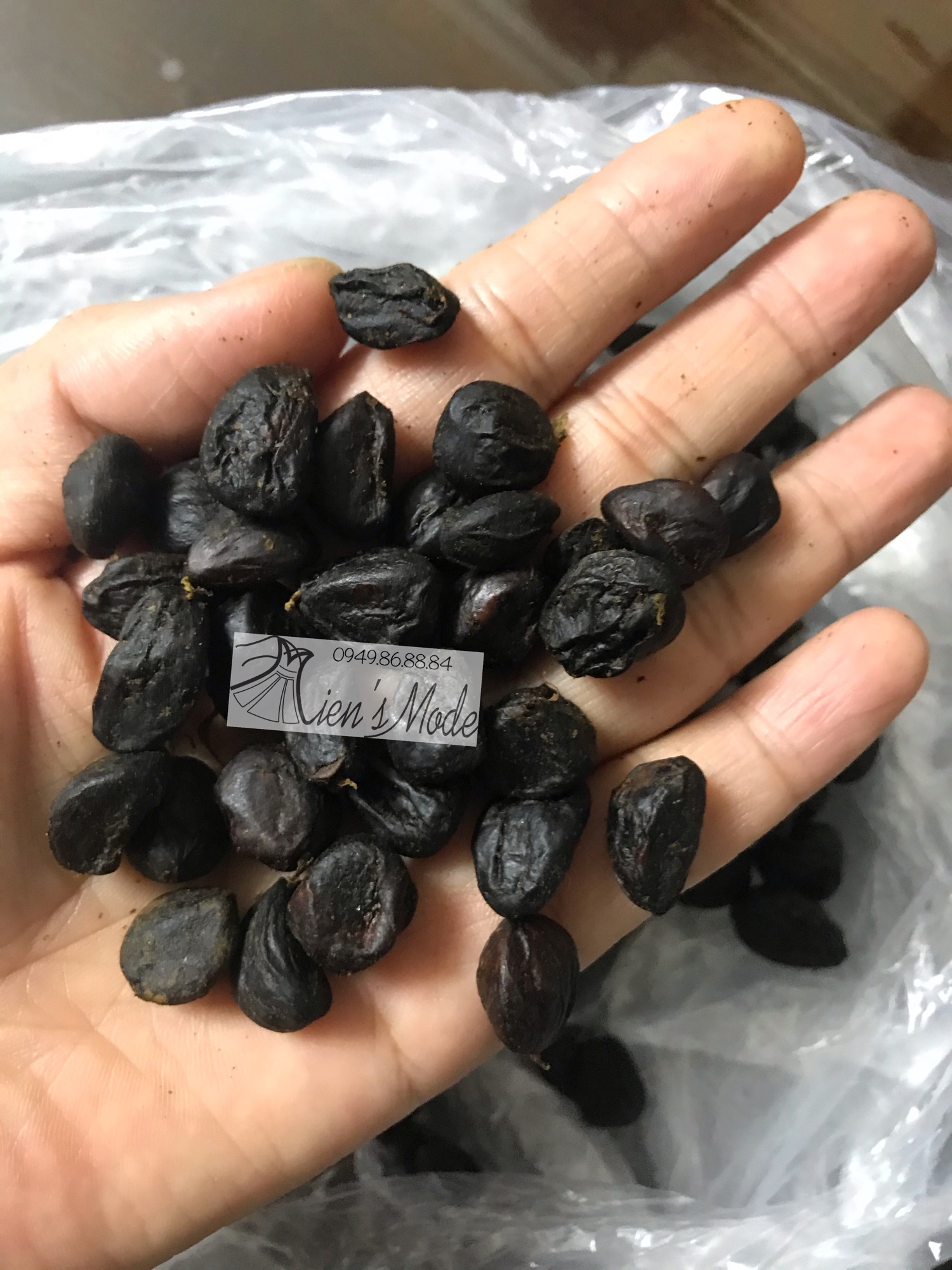 20 Hạt Dổi rừng Tây Bắc
