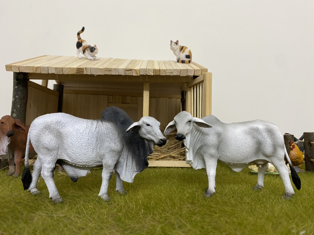 [CHÍNH HÃNG COLLECTA] MÔ HÌNH ĐỘNG VẬT - BÒ MẸ BRAHMAN