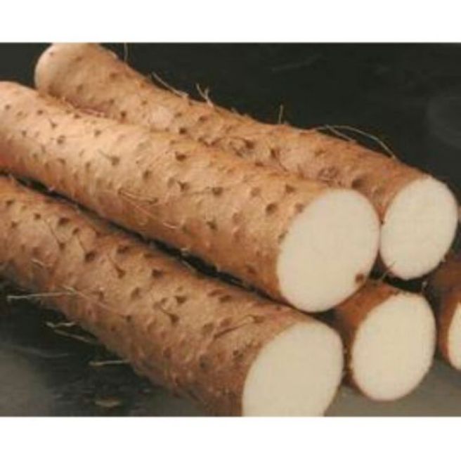 Sỉ toàn quốc 100g củ mài hoài sơn