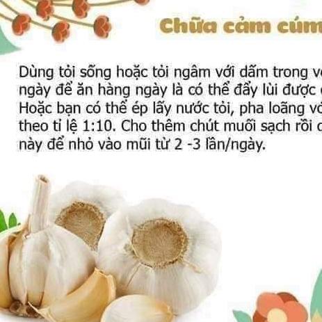 DẦU TỎI DIỆP CHI GOLD