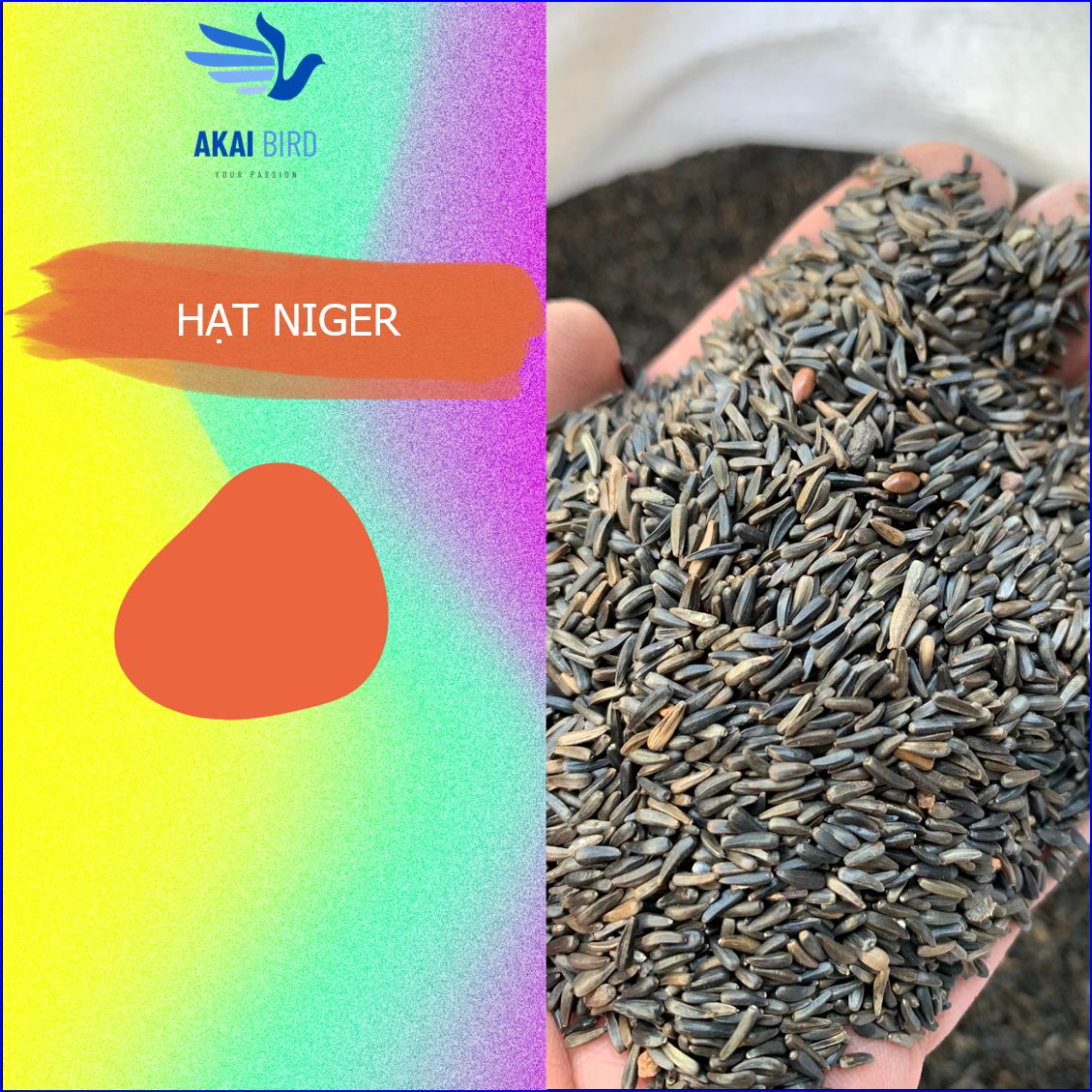 [1KG] Hạt Niger Dành Cho Vẹt, Yến Hót, Chim Cảnh....
