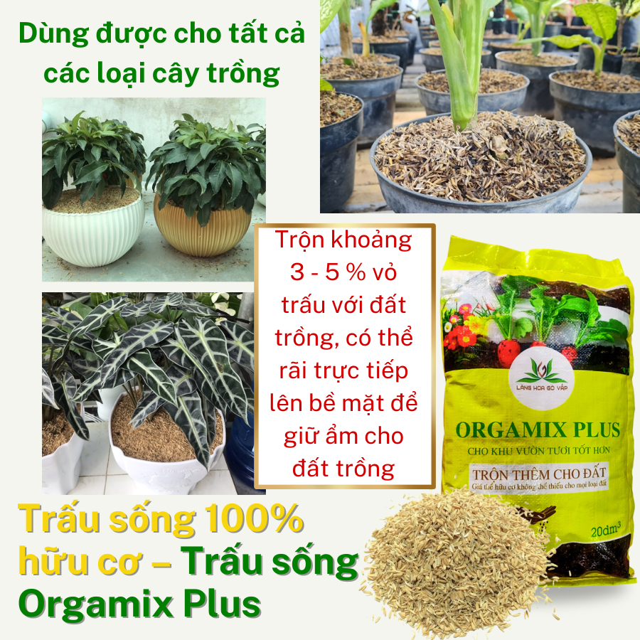Trấu sống Orgamix Plus  100% hữu cơ, giúp thoát nước tốt, giữ ẩm bề mặt chậu ( Vuon Sai Gon)