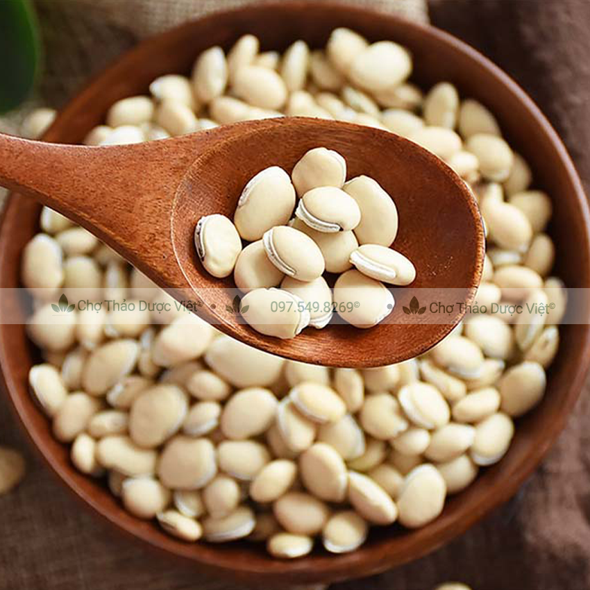 Bạch Biển Đậu 100g, đậu ván trắng, đỗ ván, khô, sạch, đẹp - Chợ Thảo Dược Việt