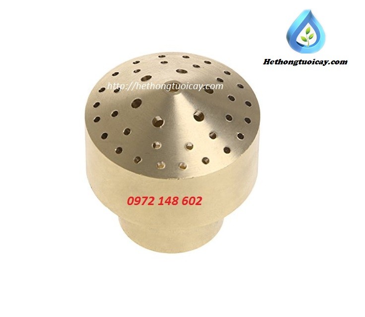 Đầu phun chùm phi 21mm