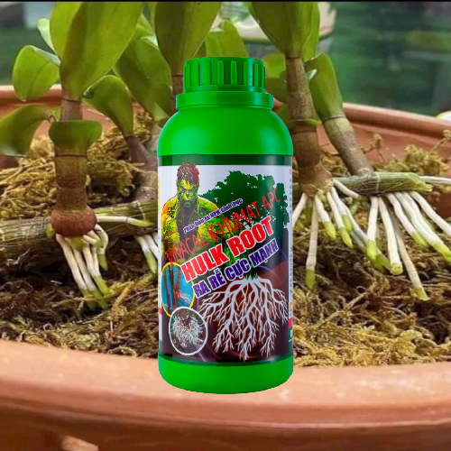 Vườn Xanh, Phân Bón Siêu Ra Rễ Cực Mạnh HULK ROOT 500ml