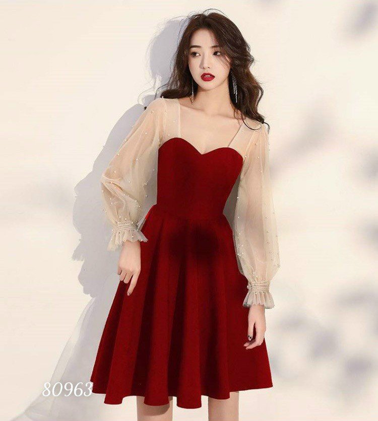 Đầm xòe tay dài phối lưới - HN