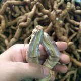 Ba Kích Tím Quảng Ninh loại ngon (gói 2kg)