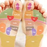 Dụng cụ massage bàn lăn chân Duy Thành YMS03
