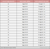 Bộ 10 que thử rụng trứng Ovulation C577 (LH) Test Strip C577 (Hồng)