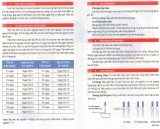 Bộ 10 que thử rụng trứng Ovulation C577 (LH) Test Strip C577 (Hồng)