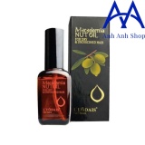 Bộ 2 Tinh Dầu Dưỡng Tóc Macadamia  50ml