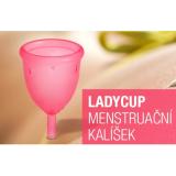 Cốc Nguyệt San Lady Cup Size L (màu hồng)
