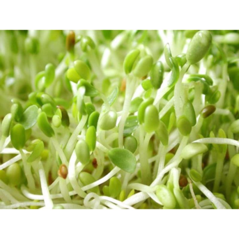 Bộ 4 gói Bột mầm đậu nành Sen Vàng 100g (Bổ sung estrogen,tim mạch, rối loạn tiền mãn kinh, ung thư và loãng xương.chuyển hóa chất béo, hạn chế lão hóa, giảm nếp nhăn, chữa nám da, tàn nhang hiệu quả) - Kmart