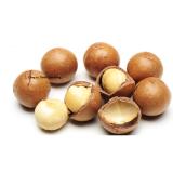 Combo 2 gói Hạt mắc ca Úc Macadamia loại 1 (500g)