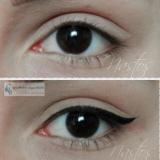 [HCM]Dạ kẻ mắt Eveline Art Professional