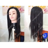 Đầu manocanh dùng để học cắt tóc