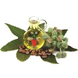 [HCM]DẦU THẦU DẦU (CASTOR OIL)  100ML  ẤN ĐỘ
