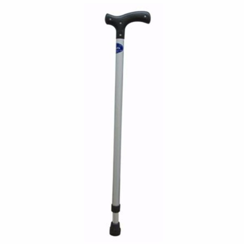 Gậy chống 1 chân cho người già (B20) tốt nhất