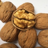 Hạt óc chó  Jumbo (Loại lựa, size đại) còn vỏ Hartley California 500gr