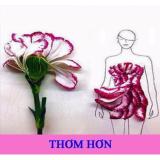 Kén đặt phụ khoa An Nữ Thảo Khang