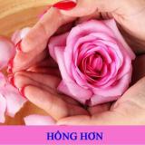 Kén đặt phụ khoa An Nữ Thảo Khang