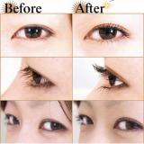 Kẹp bấm mi Shu Uemura Eyelash Curler