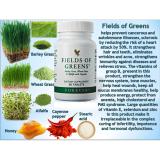 [HCM]VIÊN RAU XANH Forever Fields of Green - HÀNG CHÍNH HÃNG từ Mỹ