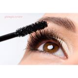 Mascara Dài Và Dày Mi Maybelline Lash Sensation Mascara - Đen