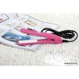 Super Compact, Lightweight and Safe Mini Hair Straightener and Clip