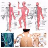 [HCM]Máy Massage Trị Liệu SYK- 208