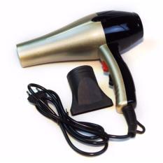 Máy Sấy Tóc 2 Chiều Công Suất Lớn Model 3100